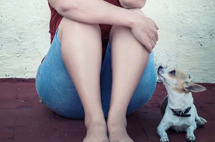 VioPet ayuda a mujeres maltratadas que temen venganza sobre sus mascotas