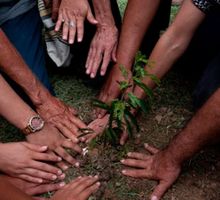 Colombia ocupa primer lugar en asesinatos de defensores del Medio Ambiente