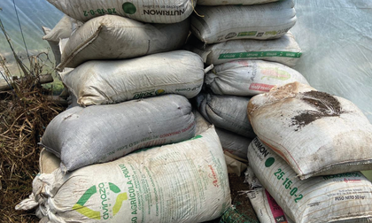 Imagen de  En La Ceja, los productores agrícolas reciben toneladas de abono gratis cada mes