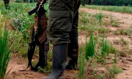 Clan del Golfo suspende diálogo de paz tras compromiso de Petro con Trump