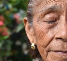 ¿Por qué piel envejecida mantiene una inflamación leve y persistente?