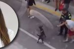 Imagen de Alcaldía de Rionegro pidió investigación «rigurosa, objetiva y transparente» por muerte de canino