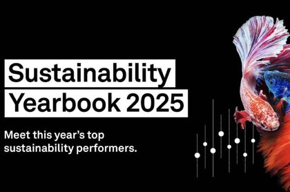 La excelencia sostenible de las empresas españolas
