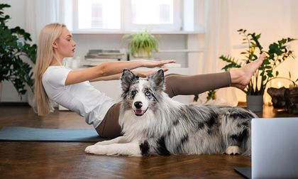 Cómo entrenar a tu perro para detectar energías negativas en tu casa