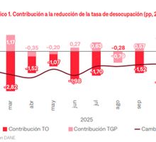 Empleo en Colombia: detrás de la caída del desempleo hay señales de debilidad estructural