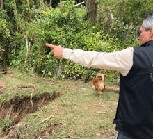 Inundaciones en Versalles dejan viviendas afectadas