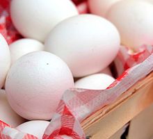 Colombia cerró 2025 con una producción superior a 19.400 millones de huevos