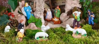 Imagen de  ¿Ya hizo el pesebre? Sea un buen cristiano y no use el musgo para sus decoraciones navideñas