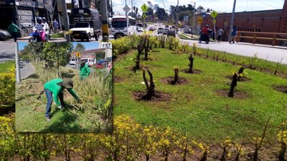 Imagen de  Con el propósito de embellecer el espacio público, la Edeso está realizando mantenimiento de jardines en Rionegro