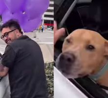 Creador de contenido compartió detalle que tuvo con su perro que superó el cáncer