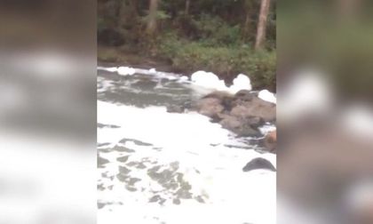 Imagen de  ¡Los responsables de la contaminación de la quebrada La Pereira!