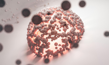 Adhesión bacteriana reduce la gravedad de algunas bacteriemias