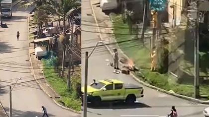 Imagen de Emergencia en sector de Rionegro por ataque de abejas