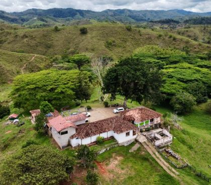 Imagen de  Por amenazas y falta de oportunidades, firmantes de paz del ETCR de Segovia se trasladarán a Yalí
