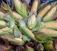 El campo registra un crecimiento del 2,4% en el tercer trimestre de 2025