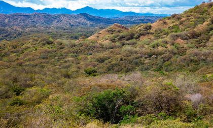 Avanza creación de área protegida en el sur del Cauca