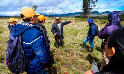 Control a actividades agropecuarias en páramos del Cauca
