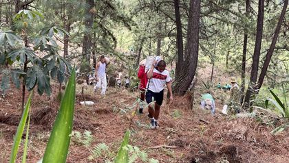 Imagen de  Por Día de la Tierra y del Árbol plantarán 3 000 árboles en el oriente de Medellín
