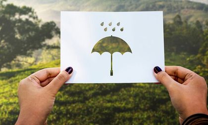 Cabañuelas y cambio climático: ¿siguen siendo efectivas estas predicciones del clima?