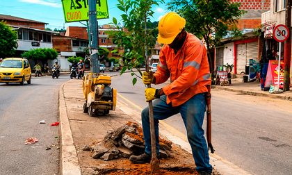 ¿Quiere sembrar un árbol frente a su casa? Así puede postular un andén ante la CVC para reducir el calor en Cali