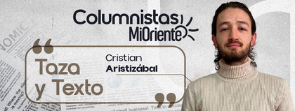 Imagen de  La literatura como sanación