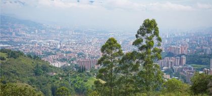 Imagen de  Corantioquia asume nuevamente la autoridad ambiental en zona rural de Envigado