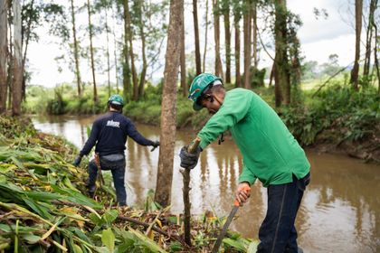 Imagen de Por riesgo de inundación y erosión por la temporada de lluvias, Cornare realiza intervención del Río Negro