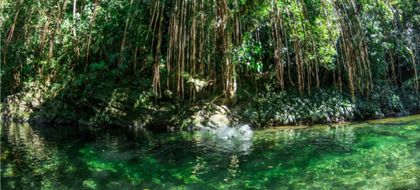 Imagen de Cañón del Río Melcocho: un paraíso en conflicto