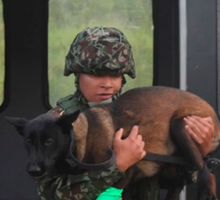 Perrita Candy fue mordida por serpiente en Tolima