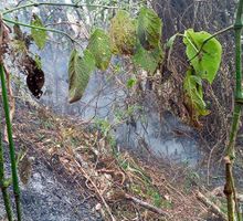 Valle del Cauca insiste ante la UNGRD por apoyo aéreo mientras continúan tres incendios forestales activos