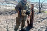 Imagen de Desaparición de un joven antioqueño en Rusia revela falsas promesas de reclutadores en redes