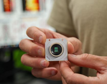 Imagen de  El cerebro humano viene “preconfigurado” con instrucciones para comprender el mundo