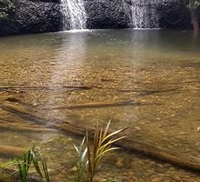 Senderismo, conozca aquí esta modalidad de turismo