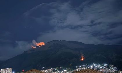 Imagen de Controlan incendios forestales en el cerro Quitasol