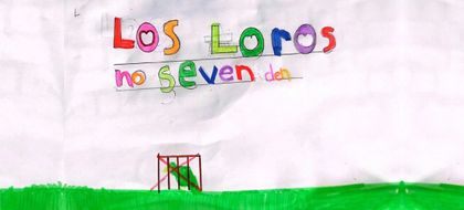 Imagen de  “Los loros no se venden”: con campaña educativa buscan proteger la fauna silvestre del Oriente, en especial, en Semana Santa