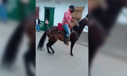Este caso de maltrato animal ocurrido en Concepción ya está siendo investigado