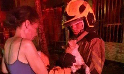 Incendio en Potrero Grande: una mujer fallecida y daños totales en vivienda