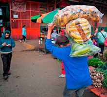 Abastecimiento de alimentos creció 8,3% en marzo