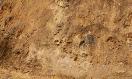 Derrumbes en Nariño dejan incomunicados a cinco mil campesinos