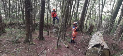 Imagen de Organismos de socorro buscan a un hombre que desapareció en zona boscosa de Rionegro