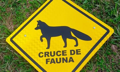 Instalan la primera señal de tránsito de fauna silvestre en la vía la mar