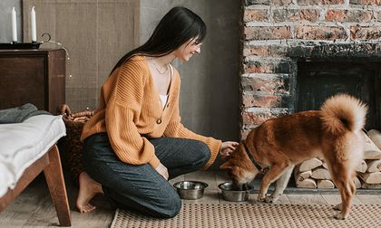 ¿Comer únicamente concentrado puede enfermar a los perros?