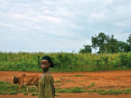 La riqueza de África