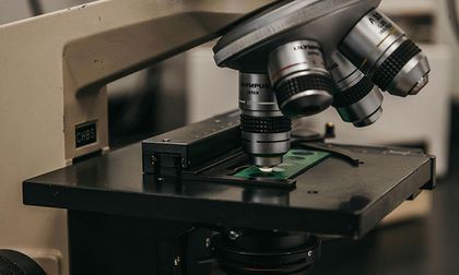 Lipoproteína A: la prueba genética que las guías recomiendan medir al menos una vez en la vida