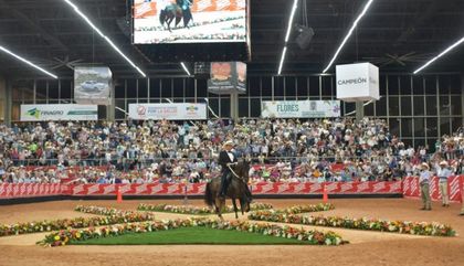 Imagen de  Expointernacional Equina Feria de las Flores 2026 impulsará turismo y negocios desde Rionegro