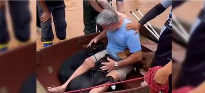 Imagen de  Video: hombre arriesgó su vida para salvar a sus cuatro perros de una inundación en Brasil