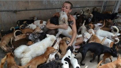 Imagen de  Personería de Medellín alertó por crecimiento del fenómeno de acumulación compulsiva de animales, 16 casos en 2025