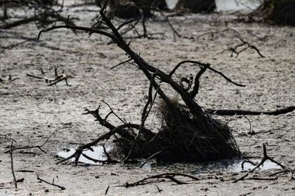 Imagen de  FAO y PMA instan a donar 202 millones de dólares para proteger a 22 países del fenómeno de El Niño