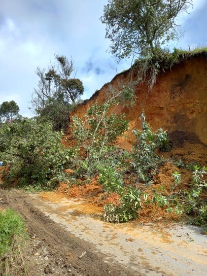 Imagen de  Por deslizamiento, vía entre La Ceja y Abejorral está cerrada