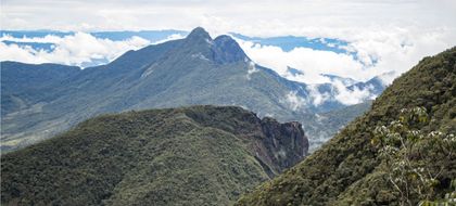 Imagen de  Restringieron llegada de turistas al Cerro Las Palomas, uno de los 15 que hay en el Páramo de Sonsón